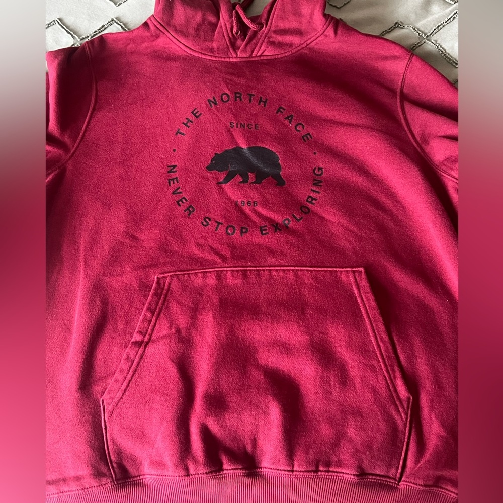 North Face Hoodie in dark red/burgundy (Size L Men’s)
